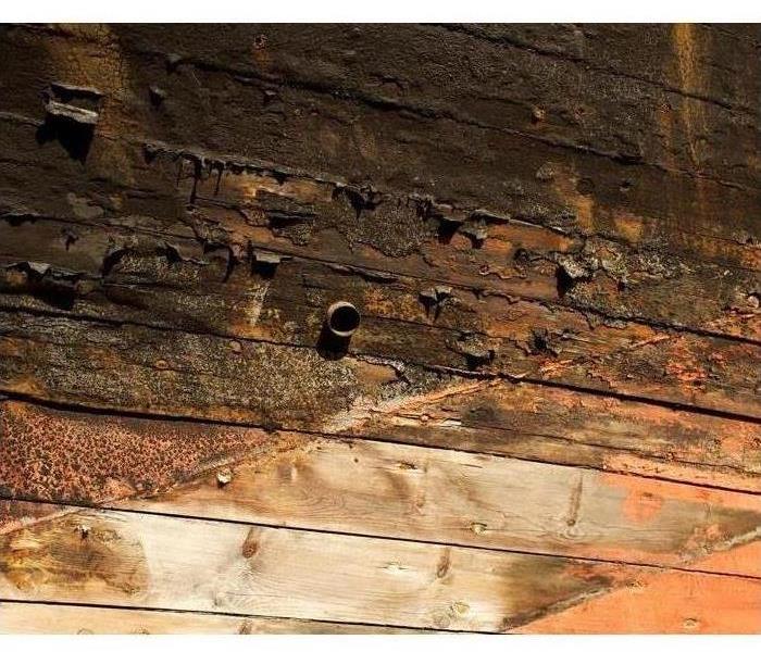 Image of Dry Rot